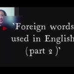Foreign words used in English Part 2